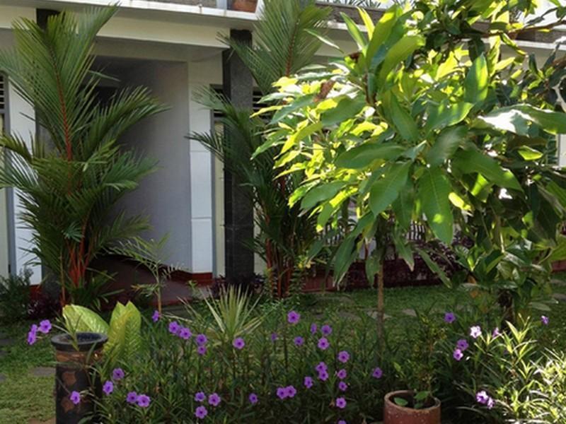 Mango Guesthouse Пангандаран Екстериор снимка